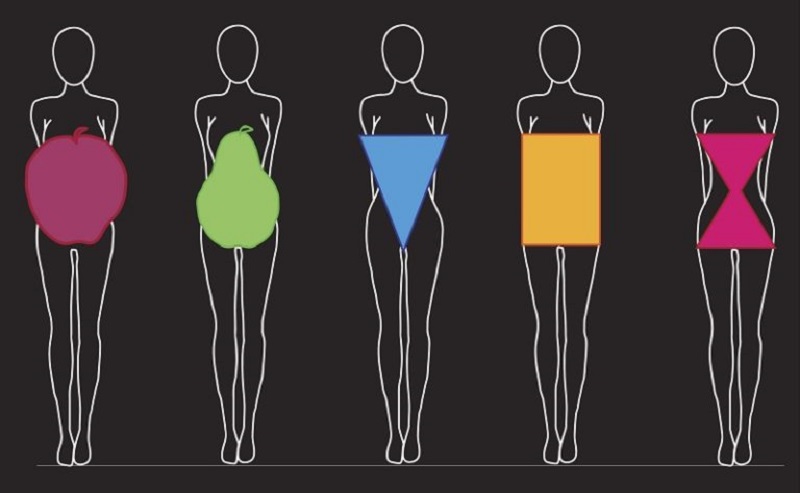 أشكال الجسم المختلفة