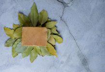 صابون الغار: استخداماته وفوائده وأضراره وطريقة صنعه في المنزل صابون الغار