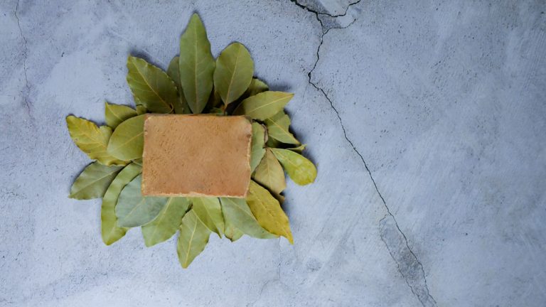 صابون الغار