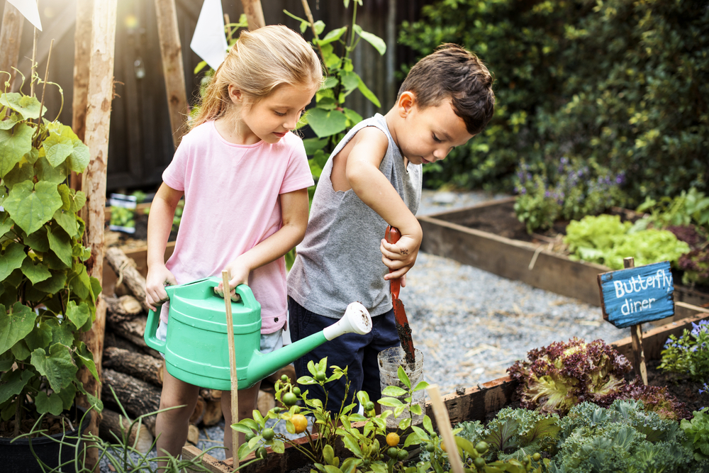 Gardening